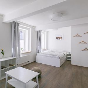 Appartement met een Slaapkamer